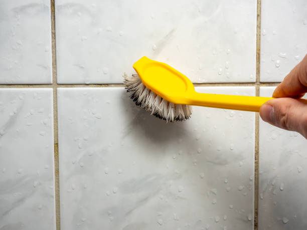 Best Fast Mold Removal  in Glespie, IL
