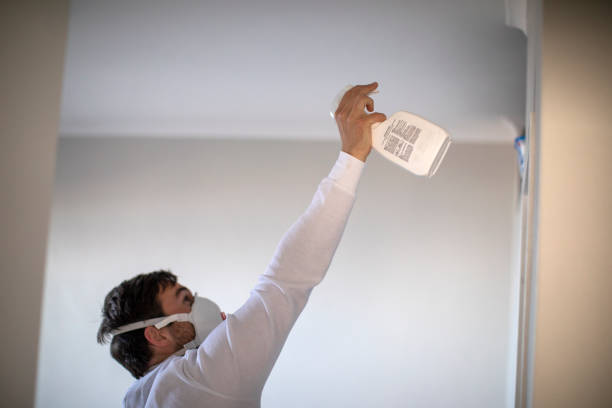 Mold Removal and Inspection in Gillespie, IL