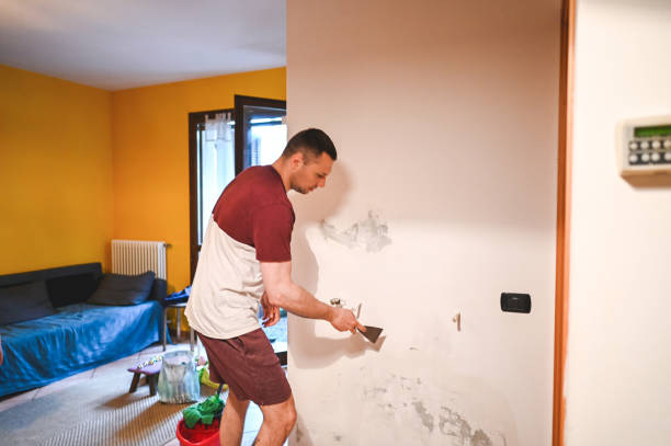 Best Commercial Mold Removal  in Glespie, IL